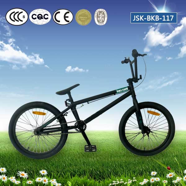 Fancy bike-JSK-BKB-117